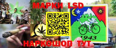 гидропоника Обнинск
