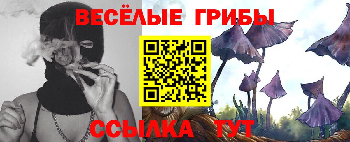 как найти   Вход с VPN  Татарск  Псилоцибиновые грибы GOLDEN TEACHER 