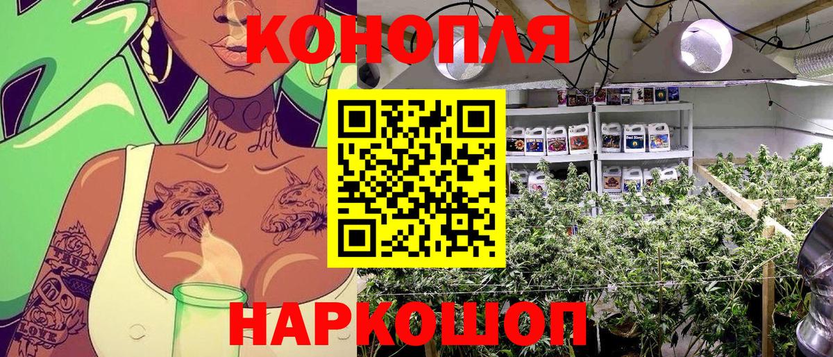 Марихуана конопля  Марихуана Bruce Banner  Вход с VPN  Бошки марихуана план  Татарск 